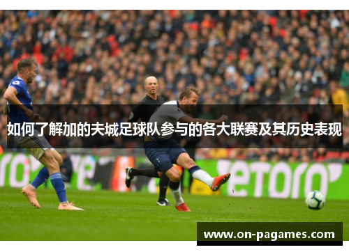 如何了解加的夫城足球队参与的各大联赛及其历史表现