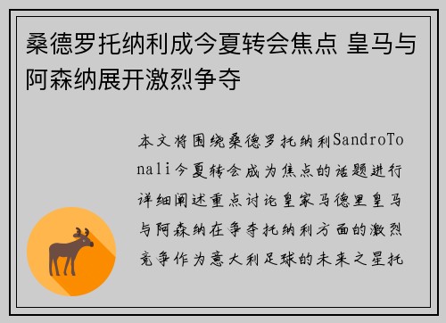 桑德罗托纳利成今夏转会焦点 皇马与阿森纳展开激烈争夺
